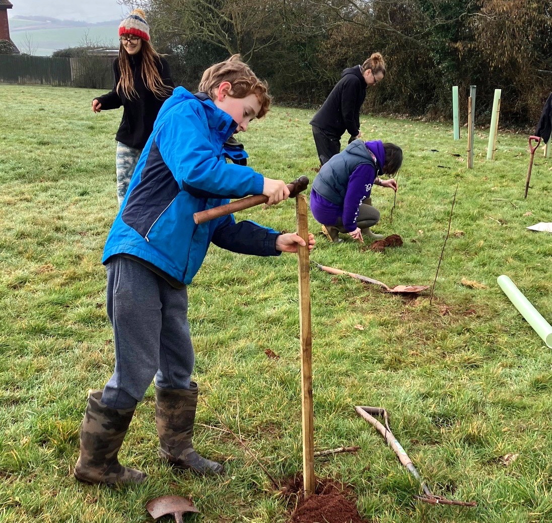 More than 60 trees have been planted by Sustainable Crediton and volunteers in Beacon Park at the top of George Hill.