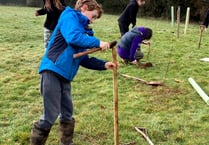Tree planting was a positive community achievement