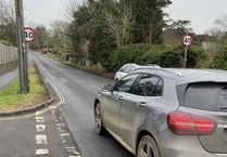 Appeal for councillors in Petersfield to unite on traffic calming plan