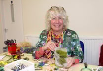 Seeds and so much more at Sustainable Crediton's Seed Share day

