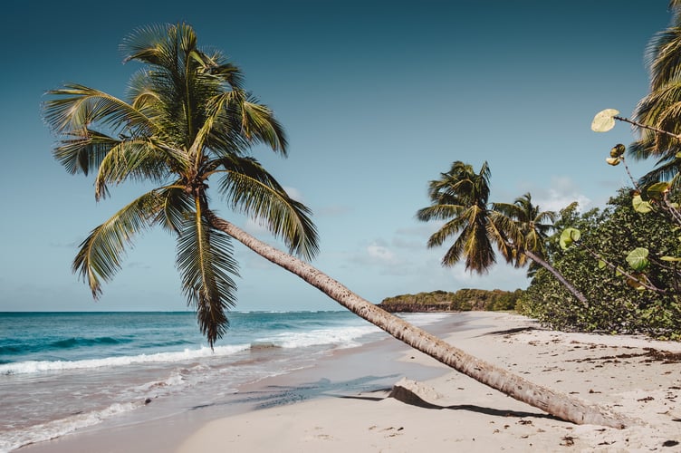 Desert island