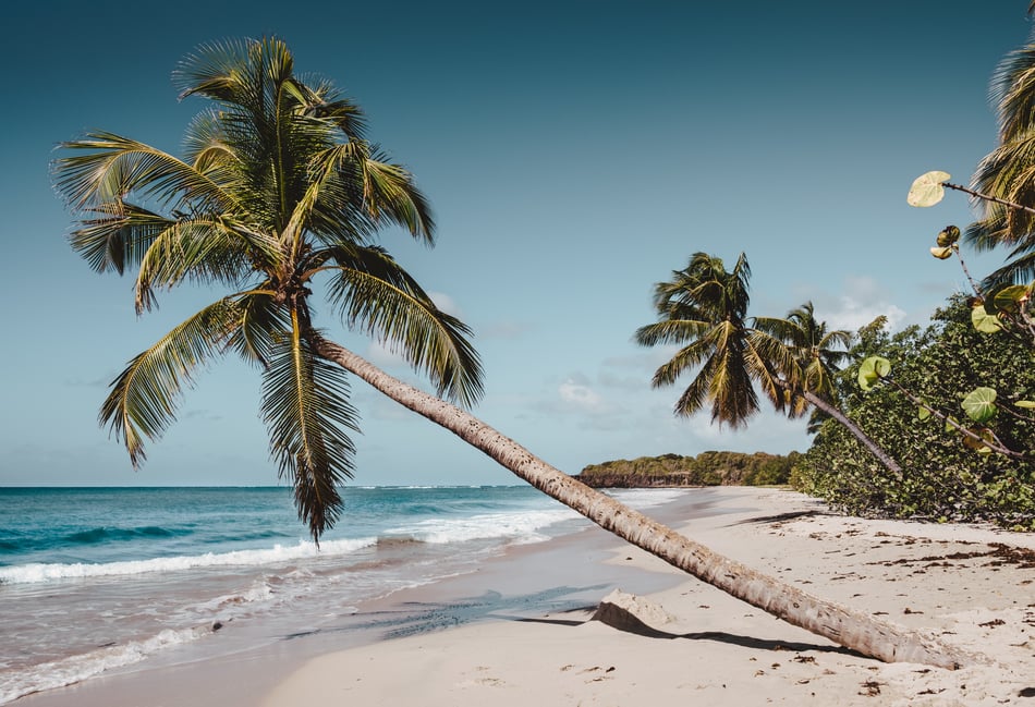 <p>Nicholas de Meric of Tilford was stranded on a desert island.</p>