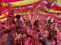 <p>Since 2013 Big Fish Little Fish have brought raving to the family massive</p>