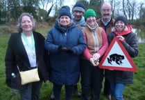 Newton Valence evening road closure for migrating toads