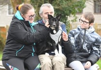 Family relief after puppy is found safe