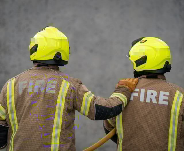 More fires in Surrey during last year's record heatwave