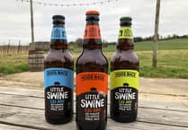Hogs Back Brewery launches ginger-flavoured craft ale Little Ginger Swine