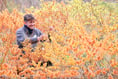 A bright and bloomy winter, with plenty to engage the senses