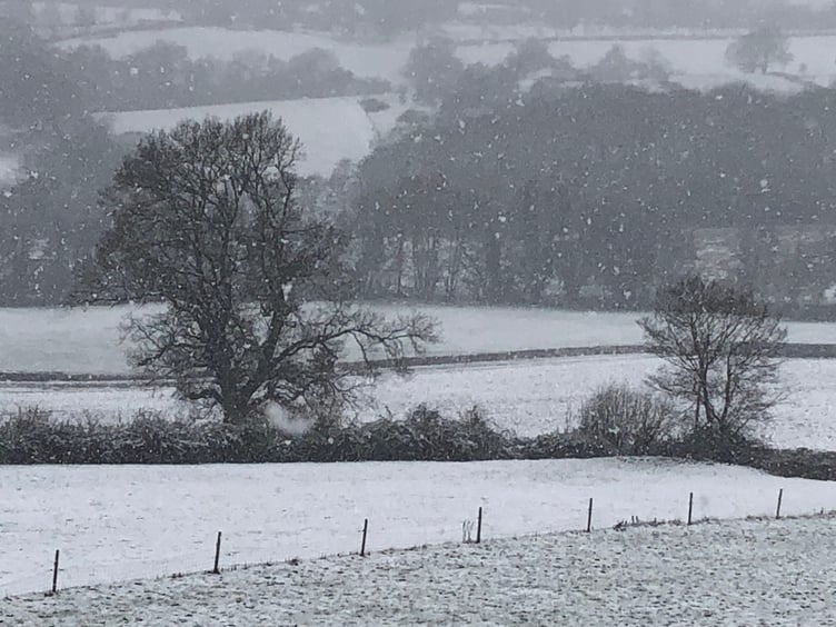 Snow falling near Monmouth