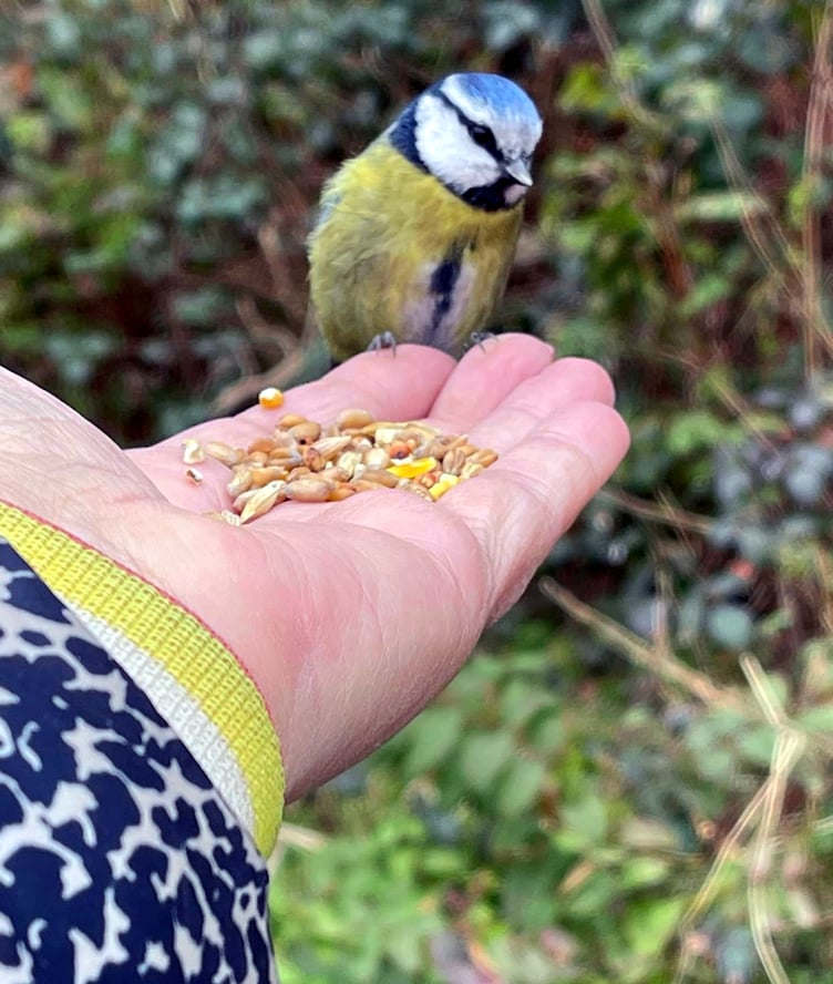 At one with nature, taken by Anne Winstanley