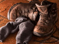 FOR THE DIARY: April walks 