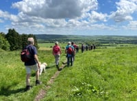 <p>Walking can be great fun!</p>