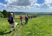 Ramble through Austen country at this year's Alton Walking Festival