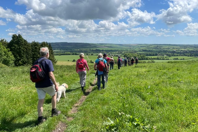 Ramble through Austen country at this year's Alton Walking Festival