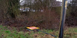 Man blames knocked-over sign for driving wrong way on A31 at Alton