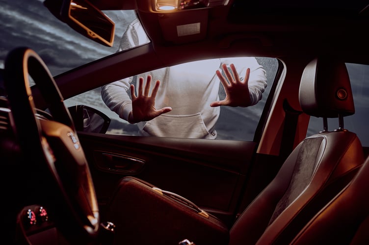 Numerous vehicles, garages and homes across the Liphook area were targeted in the early hours of January 31