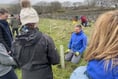 New public park is ready to take root