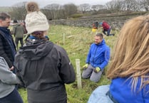 New public park is ready to take root