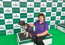 Lacey’s Crufts moment ruined by TV schedule