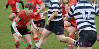 Petersfield finish their league campaign with a loss