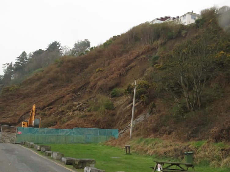 Patricia Newton's photograph of the area as work got under way