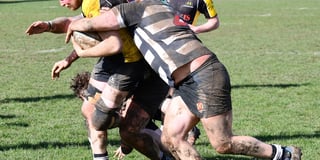 Farnham Rugby Club romp to convincing victory against Gravesend