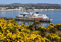 Record year for cruises ahead