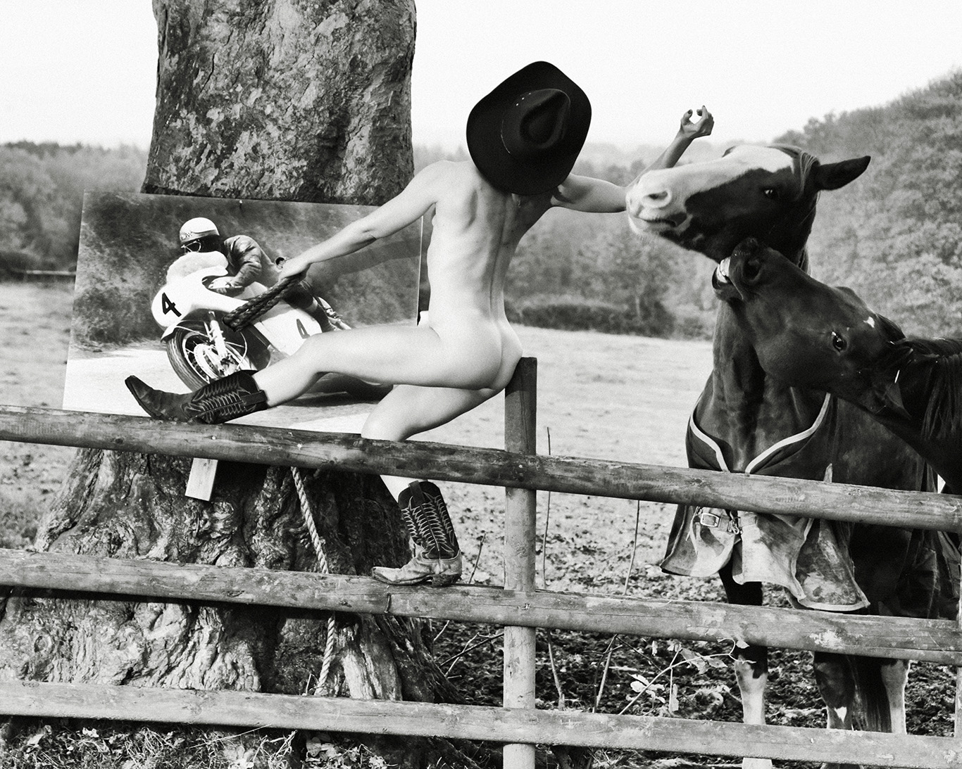 A photo of Greeba from Rachael Clegg's book