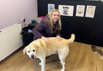 The Pet Food Pantry gets tails wagging