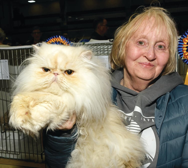 Carol and her Persian cat River.