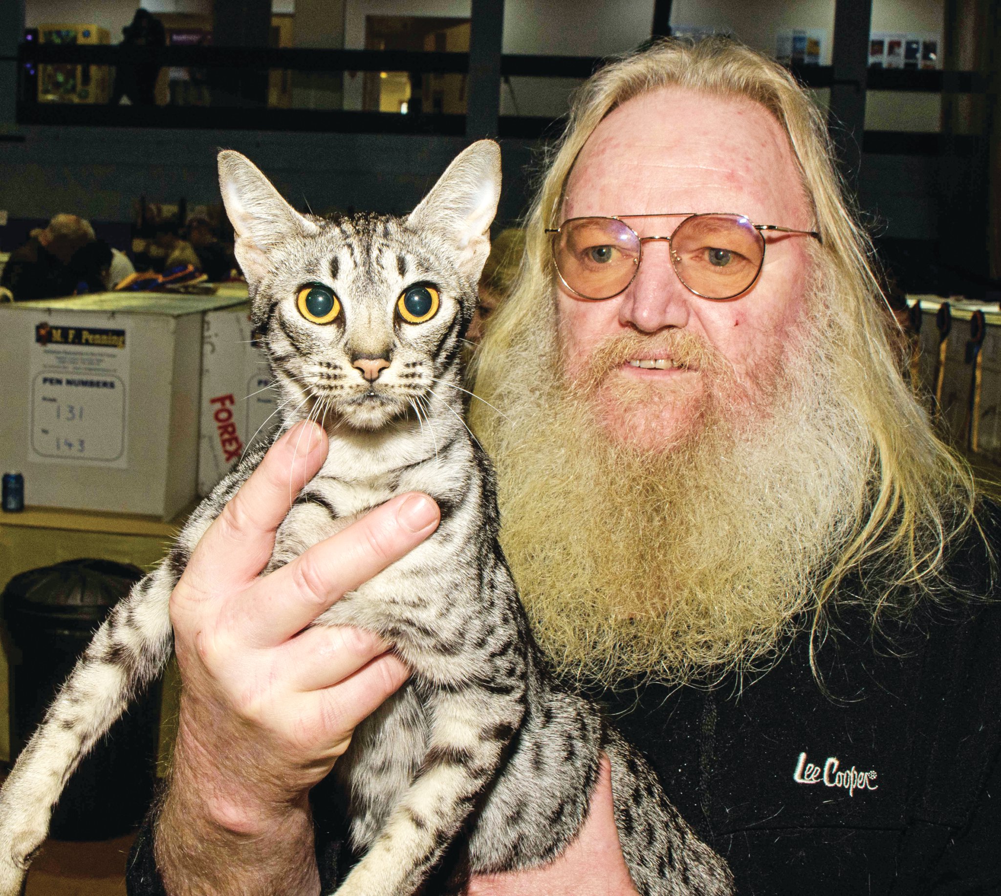 Owen with Beta, a Silver Occitan