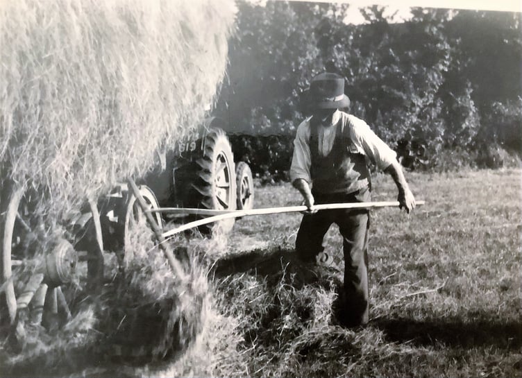 Local farmer Fred Adams haymaking