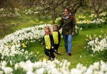 Step into spring with the National Trust in Cornwall
