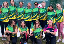 Village clubs merge to form Churt and Hindhead CC