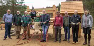 Plenty of adventures for toddlers at Hogmoor Inclosure playground