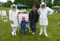 Gardening with Lynne Allbutt - relishing bee friendly practices