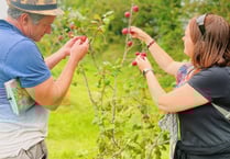 Spring is upon us and Lion Green's community orchard ready to blossom