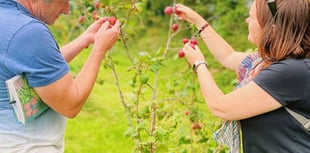 Spring is upon us and Lion Green's community orchard ready to blossom