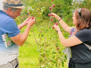 Spring is upon us and Lion Green's community orchard ready to blossom