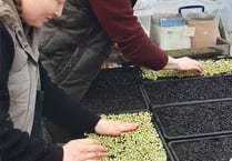Food group provides a growing opportunity for local people to experience farm work