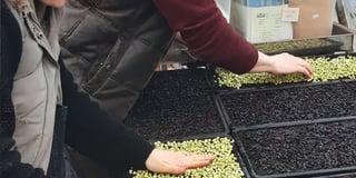 Food group provides a growing opportunity for local people to experience farm work