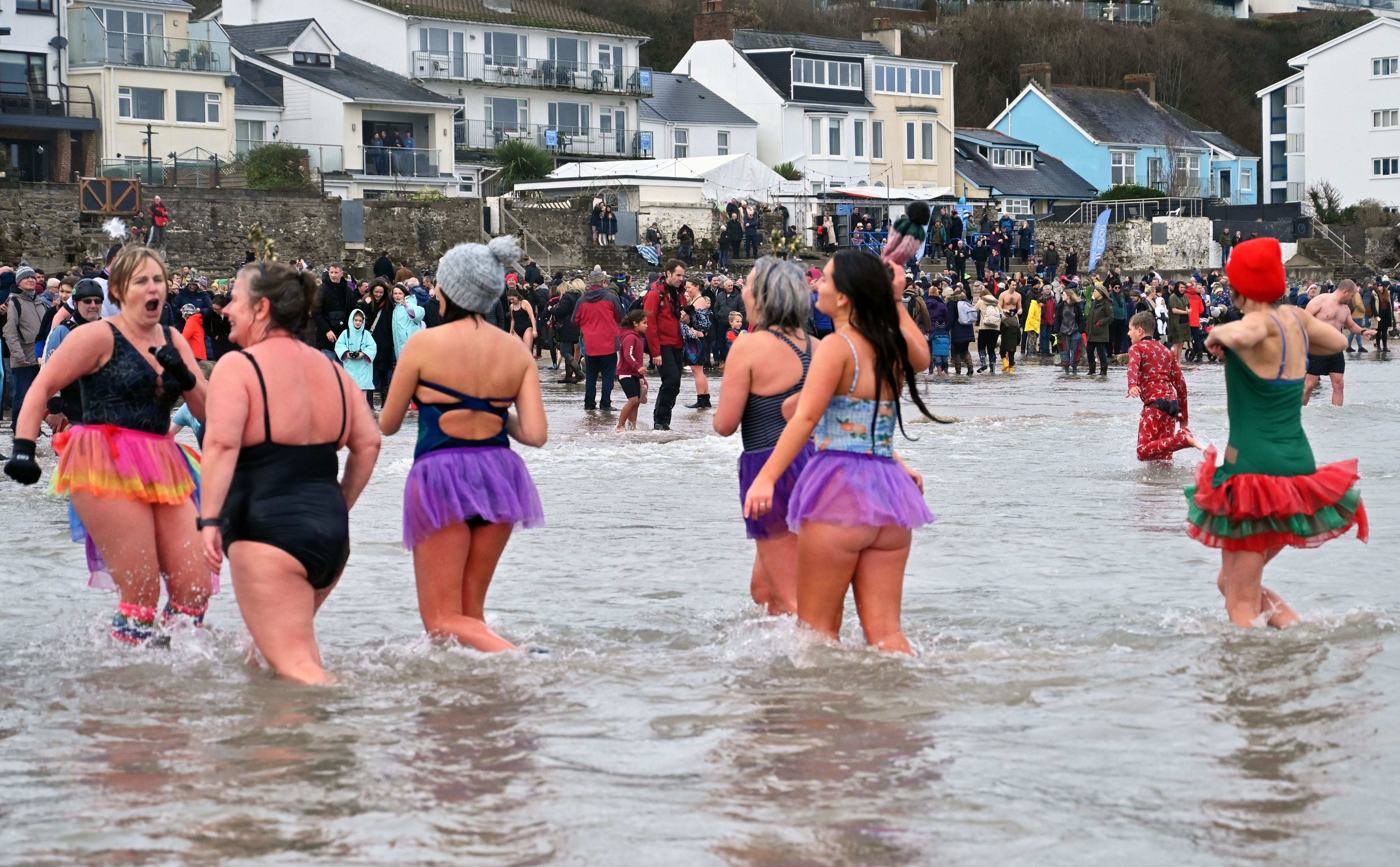 Survey by Bluetit HQ St Davids highlights the health benefits of cold water  dipping - Carmarthenshire News Online