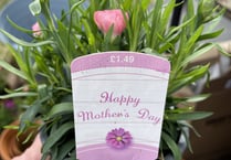 What to do with your Mother’s Day plants