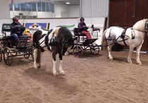 An activity that can be adapted for all