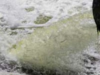 Thames Water's sewage spills figures make filthy reading
