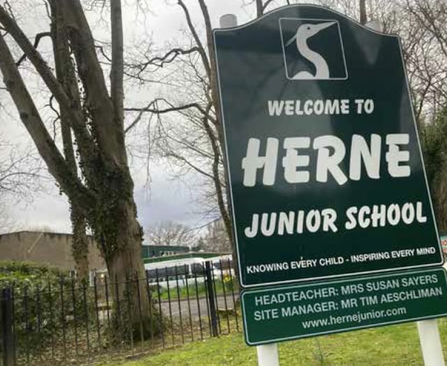 Herne Junior School in Petersfield praised by Ofsted inspectors