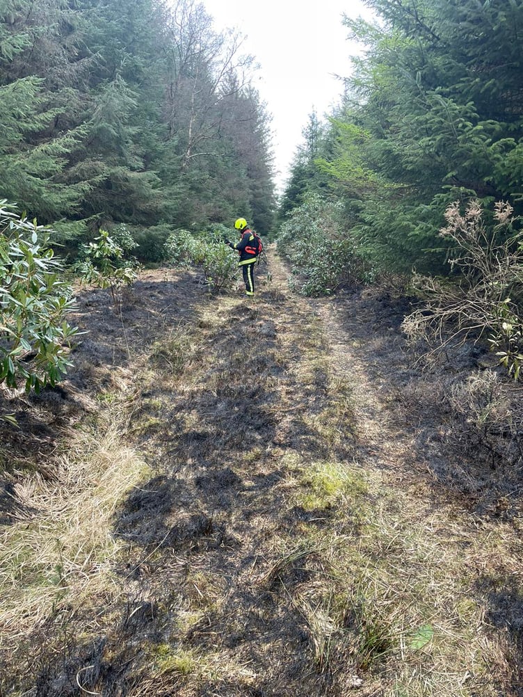 Fire in Haldon Forest. Picture: Middlemoor Fire Station