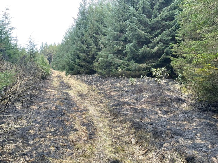 Fire in Haldon Forest. Picture: Middlemoor Fire Station