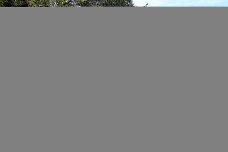 A site at Axenfell plantation being considered for a water treatment plant