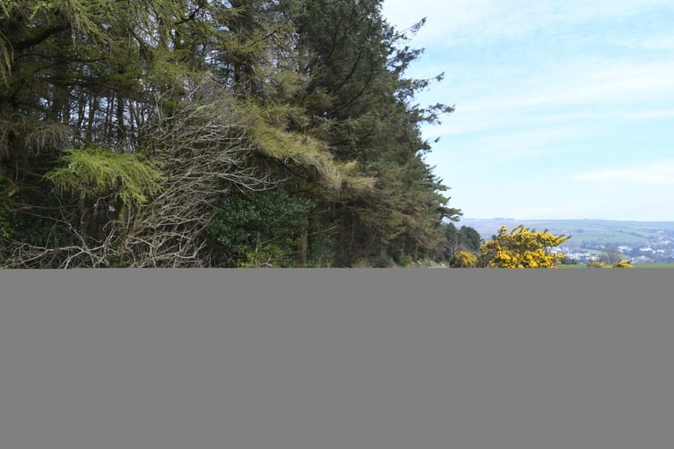 A site at Axenfell plantation being considered for a water treatment plant
